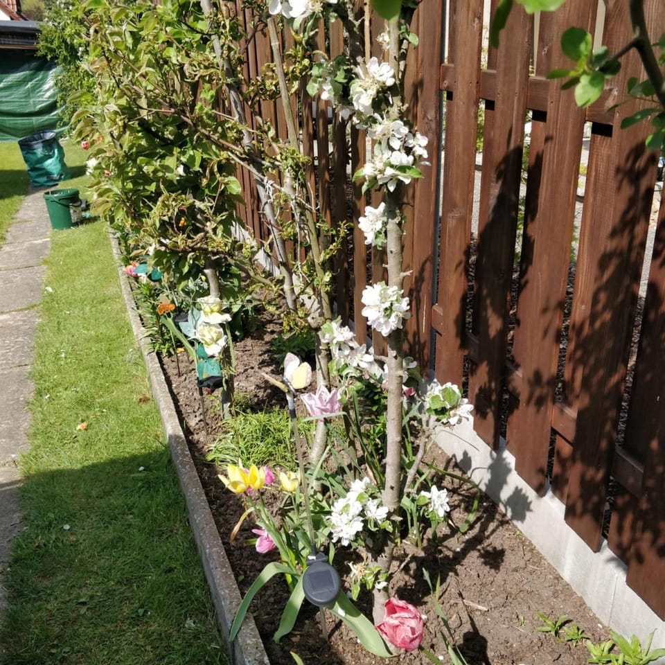 Property building, Garden view