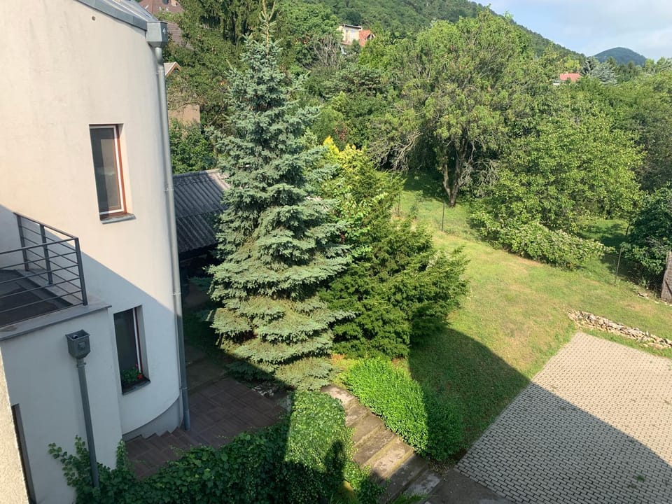 Maharaja Mountain Palace with Free Privat Parking and Garden Apartment in Budapest