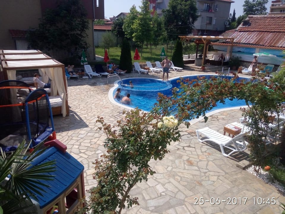 Summer, Garden, Swimming pool, group of guests