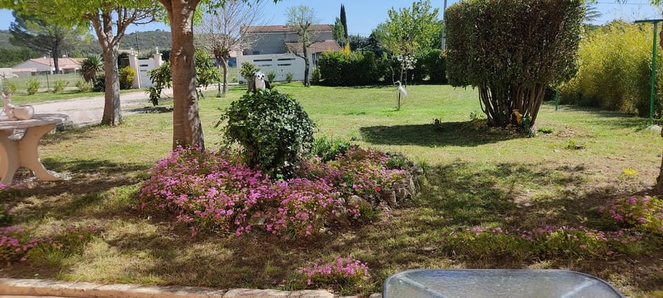 Property building, Garden view