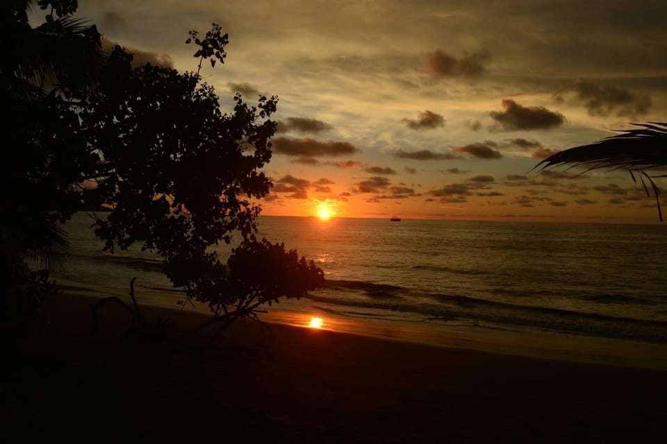 Natural landscape, Beach, Hiking, Sunset