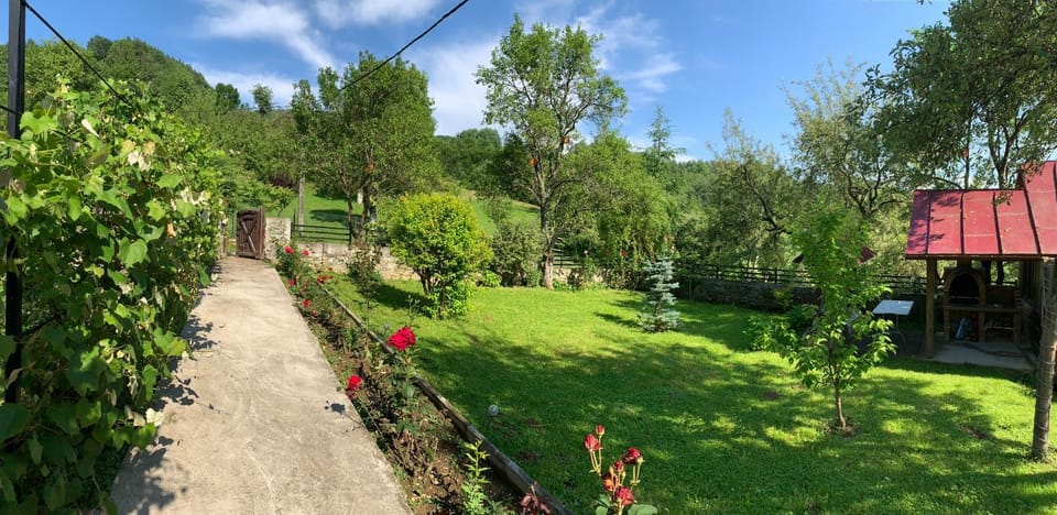 Casa Livada cu Meri House in Romania