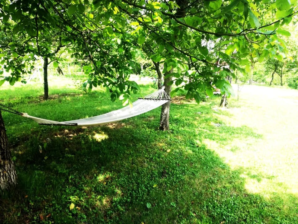 Apartman Nino Apartment in Croatia