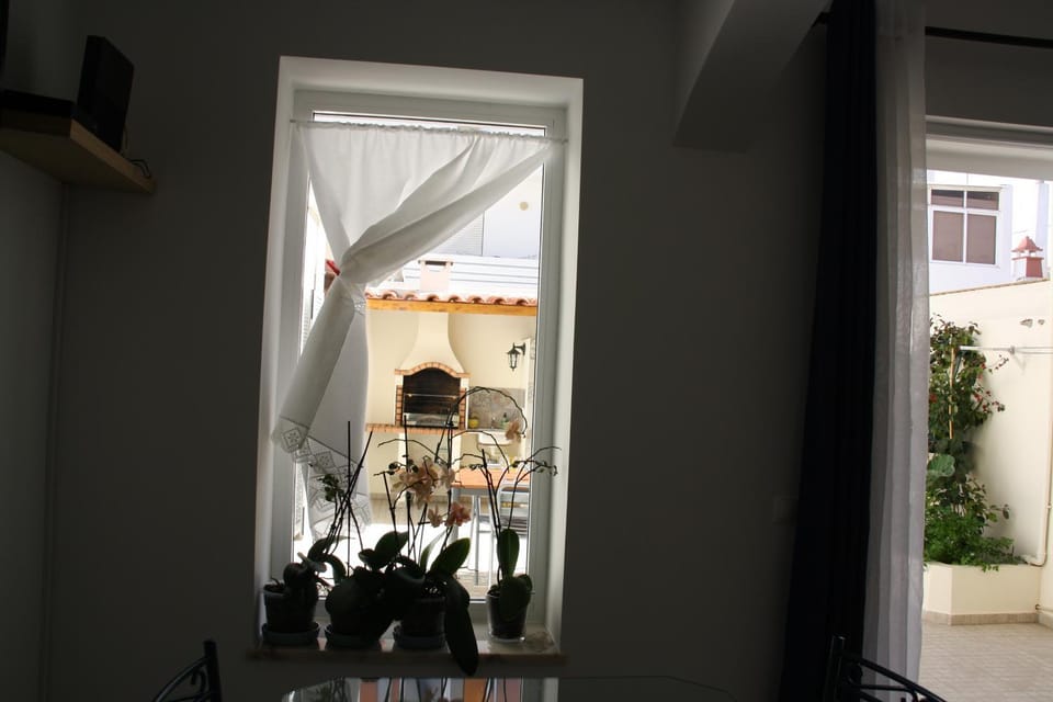 House of Orchids with Pátio Apartment in Faro District
