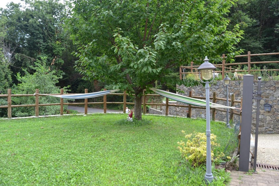 Spring, Summer, Garden