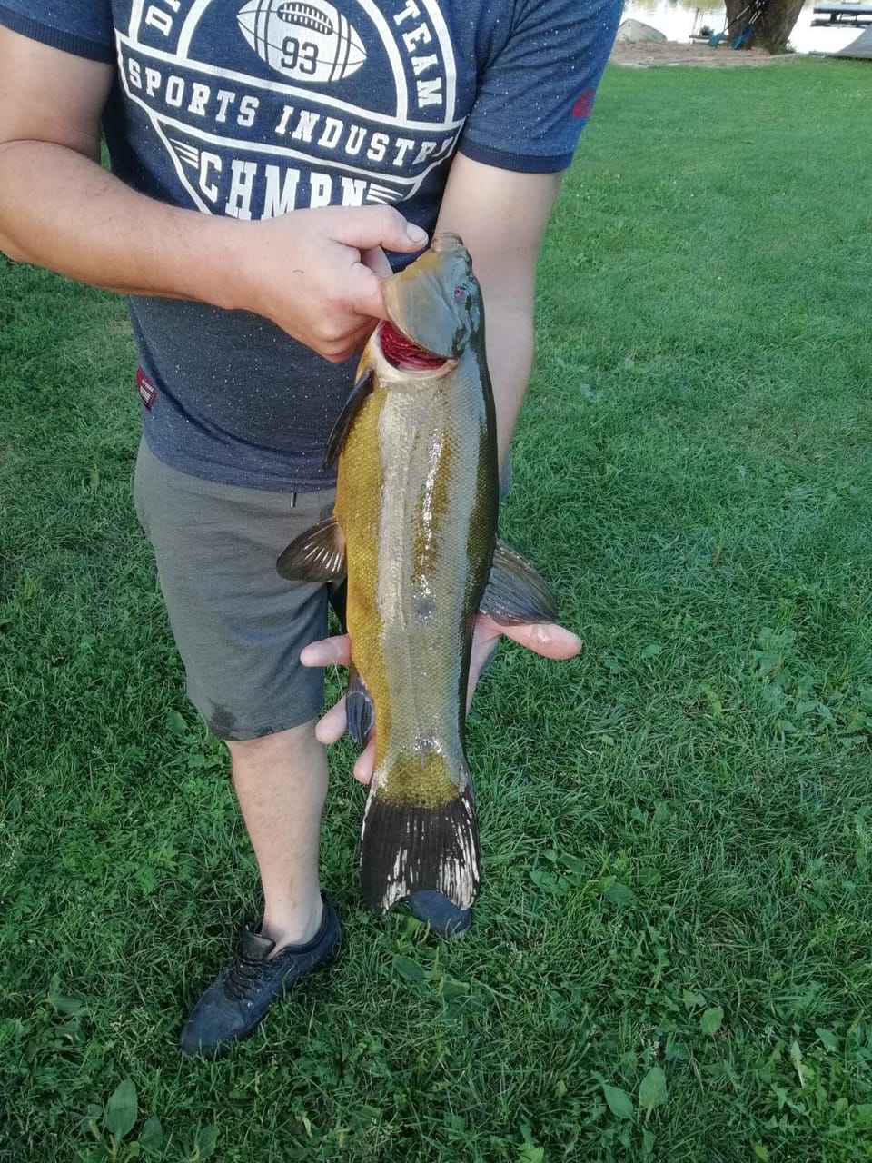 Zielona Dolina Farm Stay in Lithuania