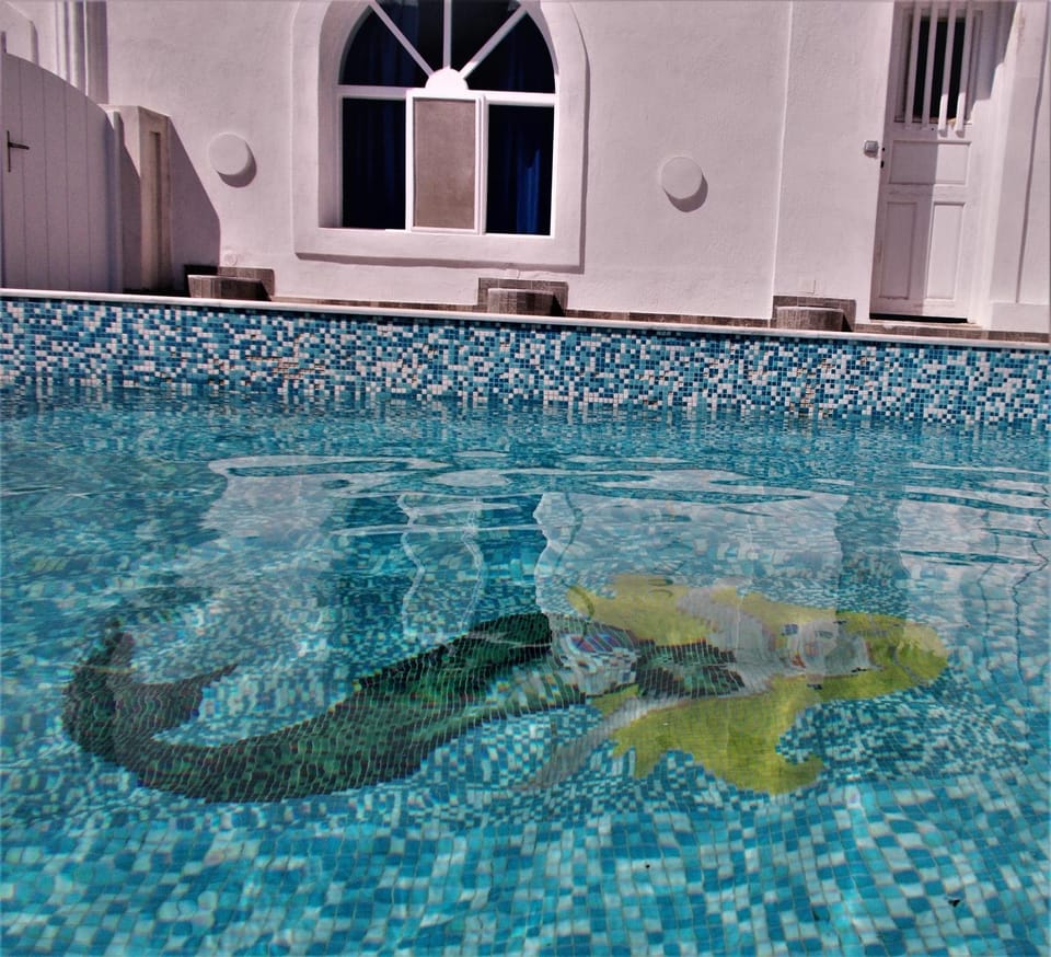 Swimming pool, Swimming pool