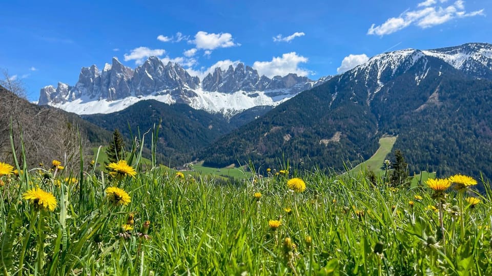 Spring, Natural landscape, Mountain view