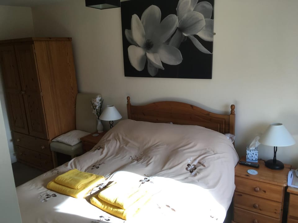 The Haldon Guest House Bed and Breakfast in Paignton