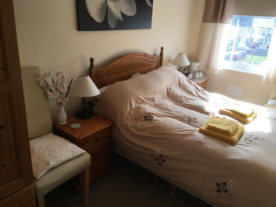 The Haldon Guest House Bed and Breakfast in Paignton