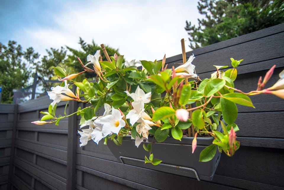 Balcony/Terrace, Decorative detail