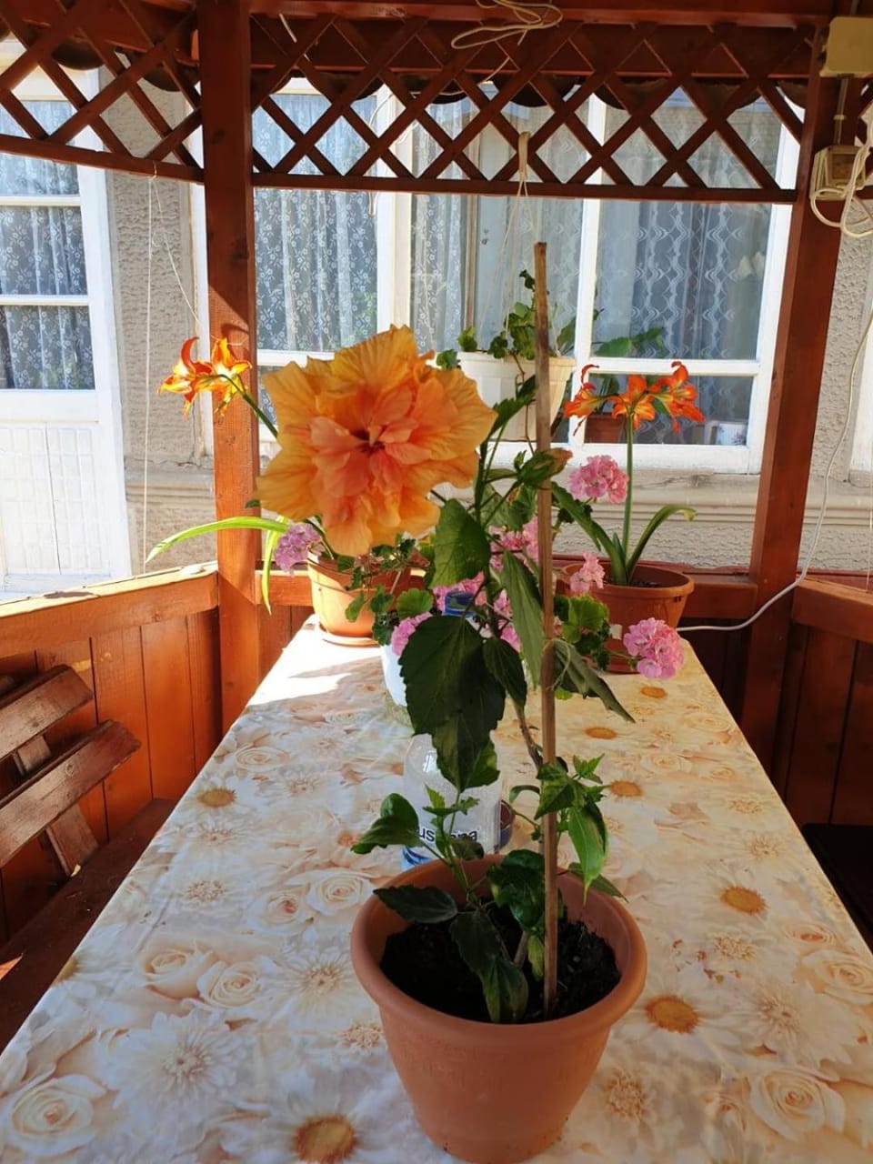 Casa di Madi Bed and Breakfast in Dobrich Province, Bulgaria