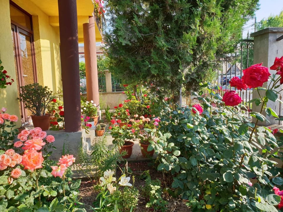 Casa di Madi Bed and Breakfast in Dobrich Province, Bulgaria