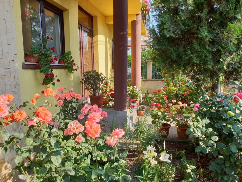 Casa di Madi Bed and Breakfast in Dobrich Province, Bulgaria