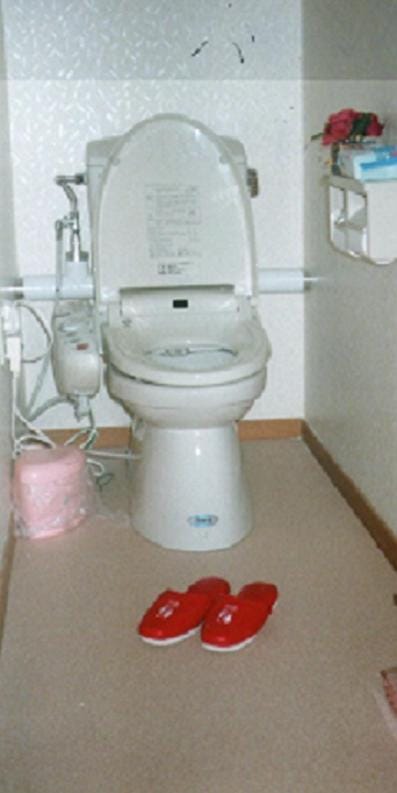 Toilet