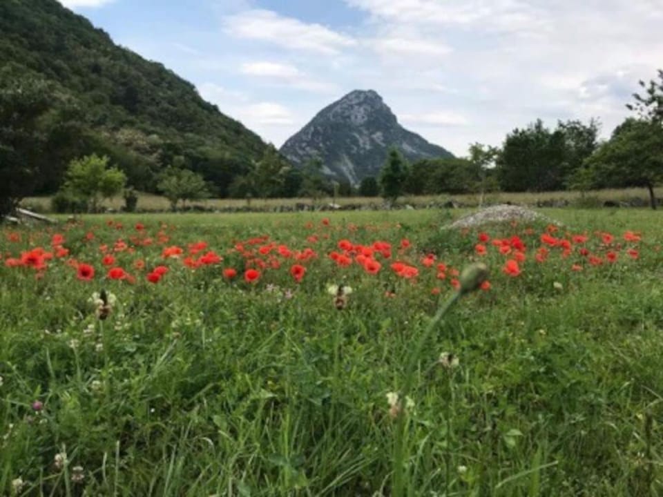 Natural landscape