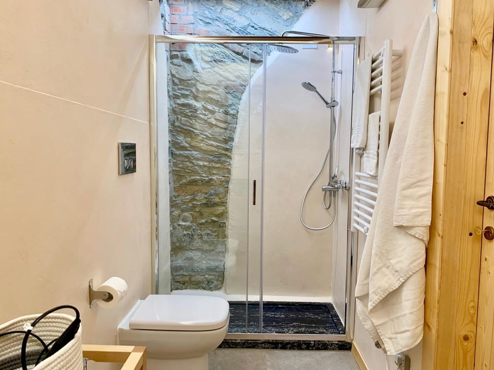 Shower, Toilet, Bathroom, towels