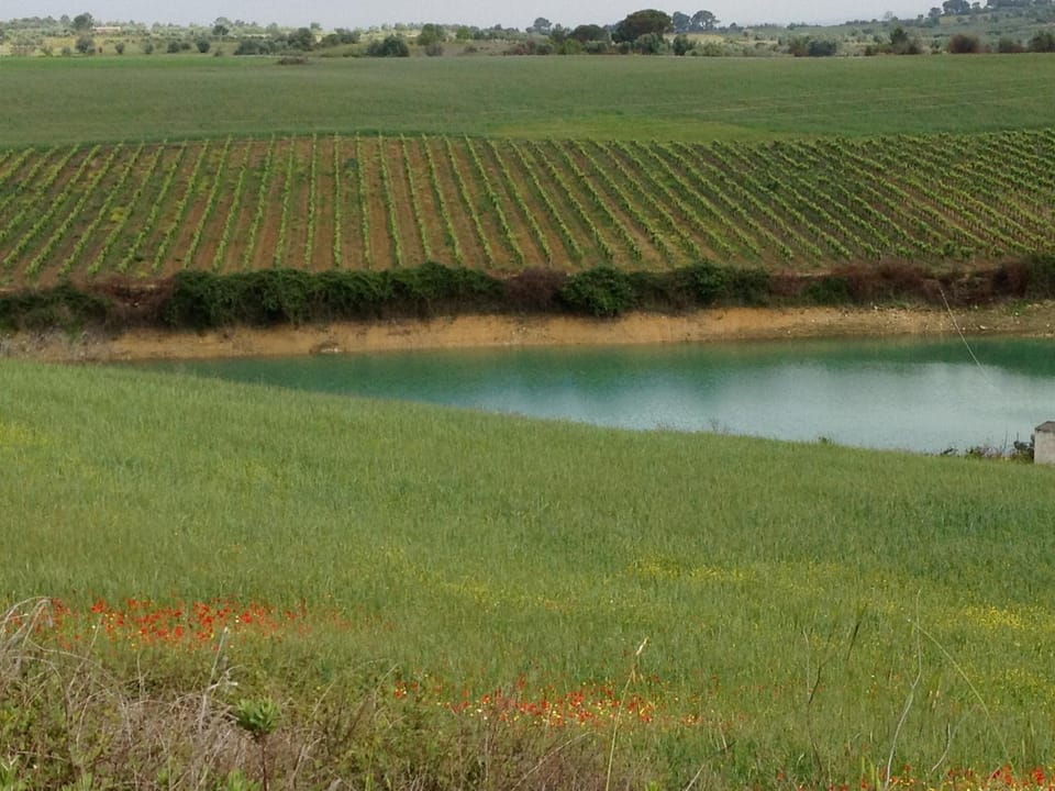 Lake view