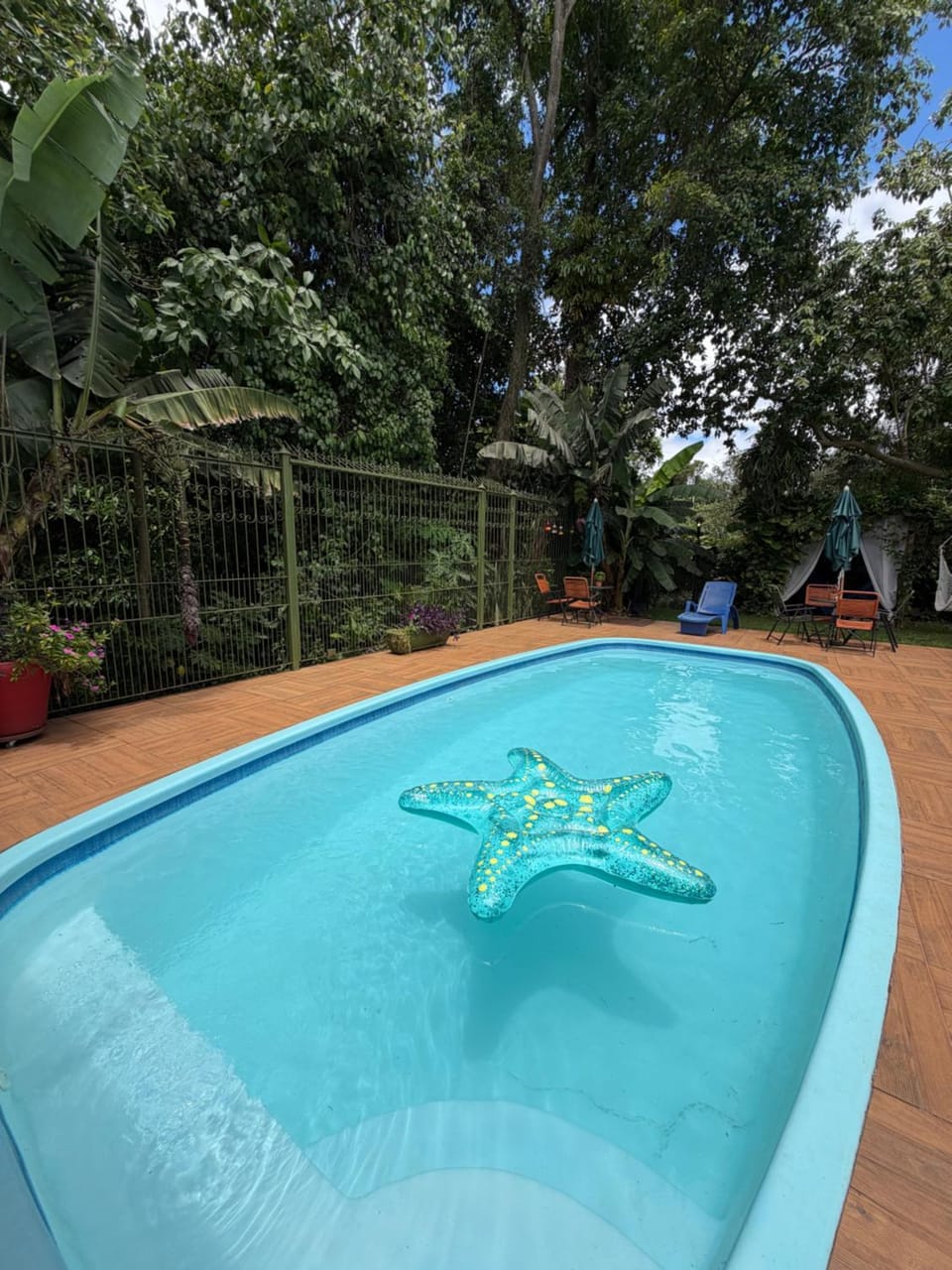 Property building, Day, Garden, Garden view, Pool view, Swimming pool