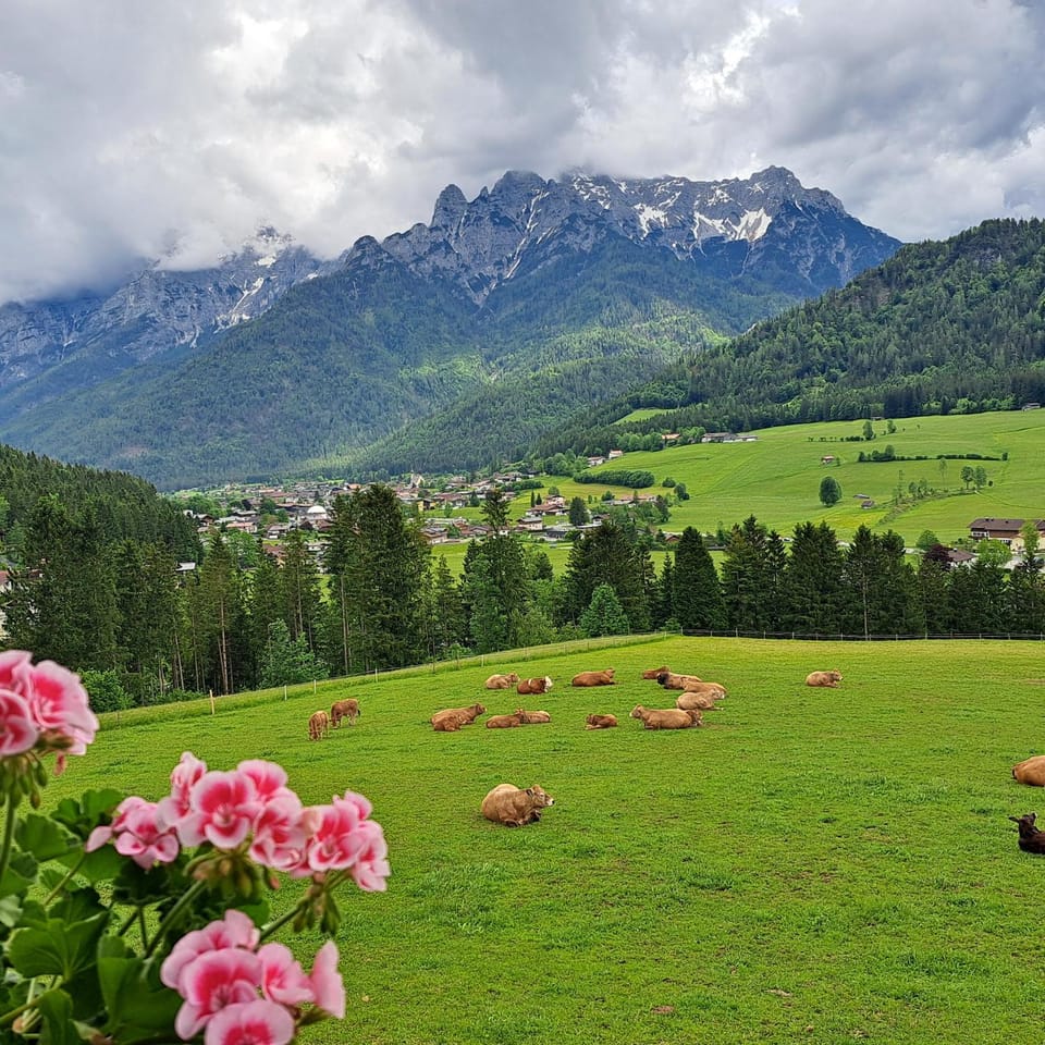 Bommerhof Farm Stay in Salzburgerland