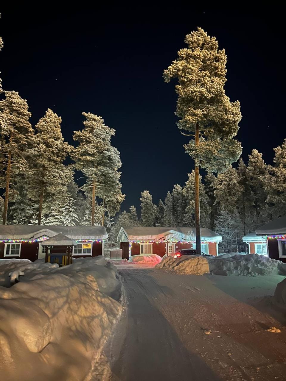 Night, Winter, Street view