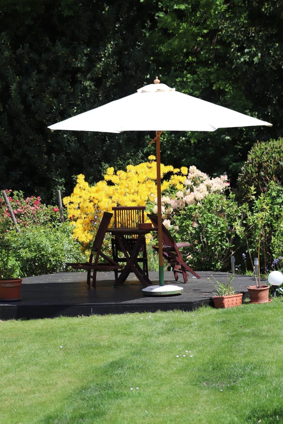 Garden view
