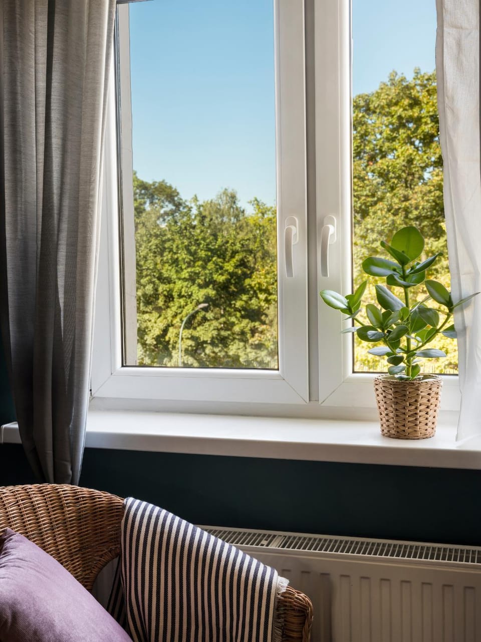 Green view apartment / Kochanowskiego Apartment in Krakow