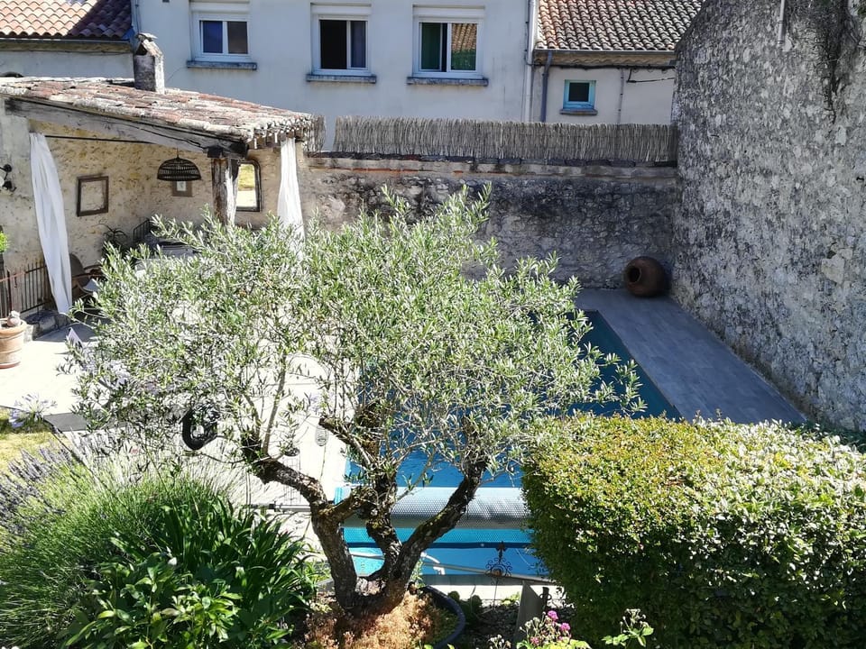 Pool view
