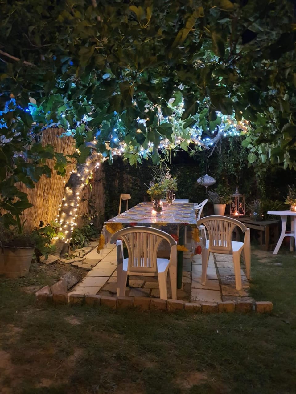 Garden, Garden view