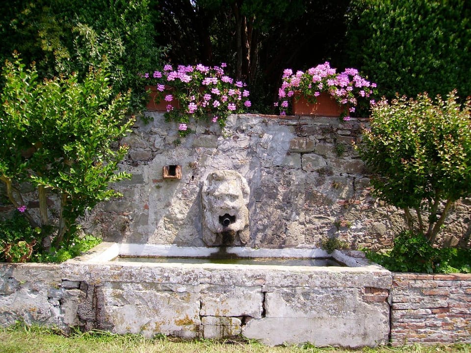 Garden, Decorative detail, On site