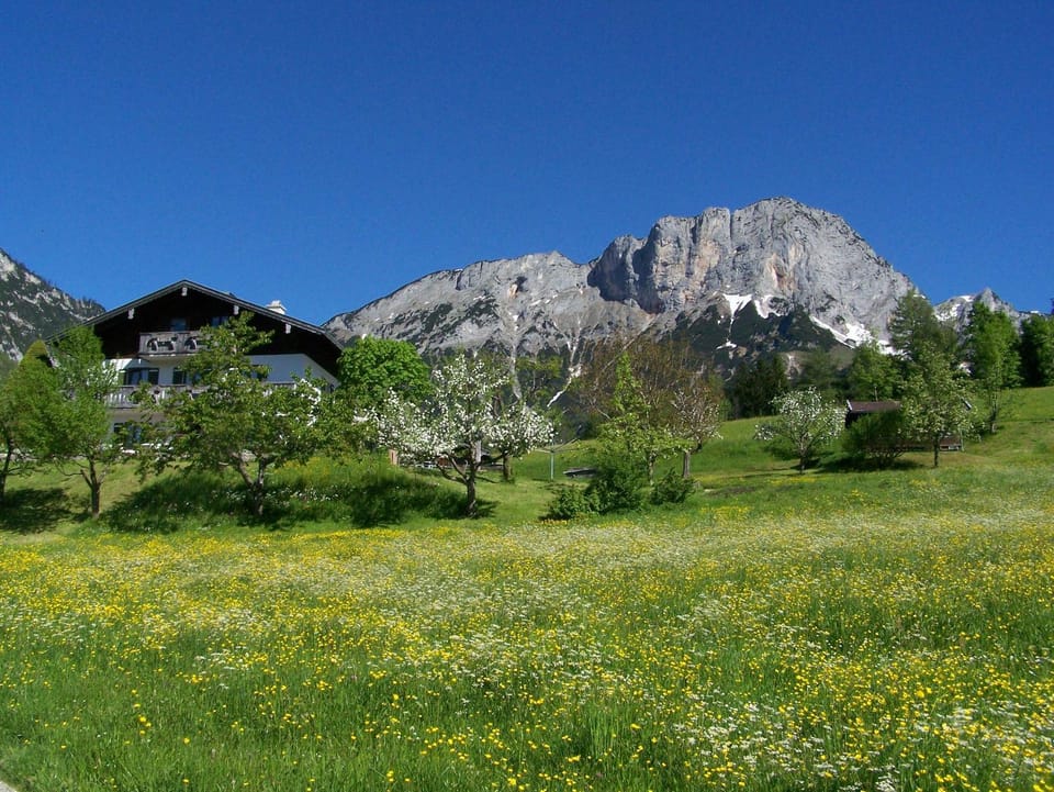 Property building, Spring, Natural landscape, Garden, Hiking, Mountain view