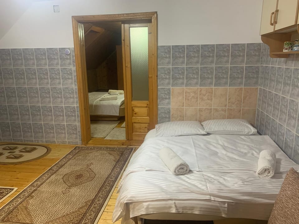 Rustic Apartament Apartment in Romania