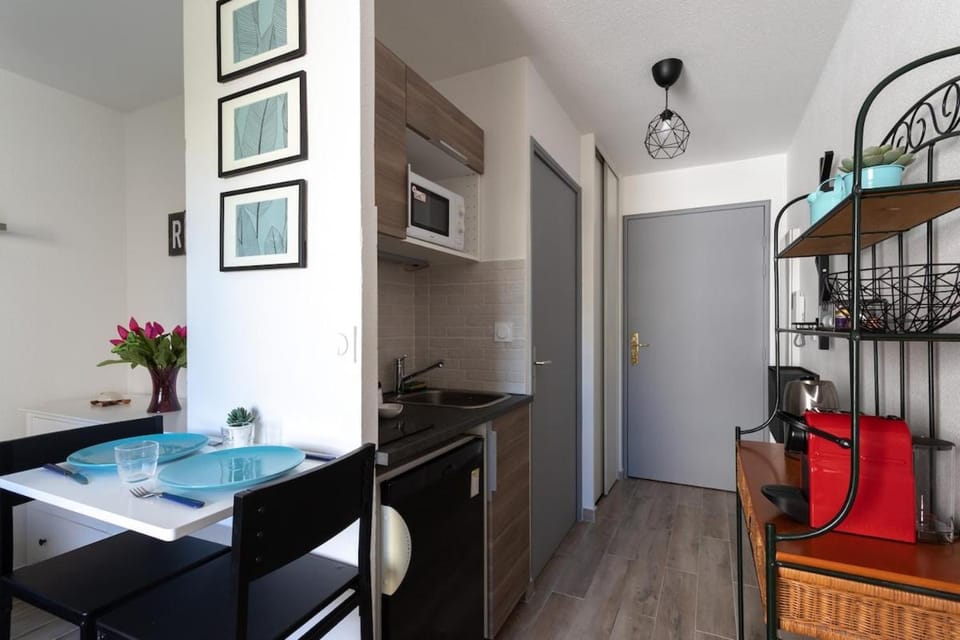 The Cute Sans-Souci Studio Apartment in Lyon