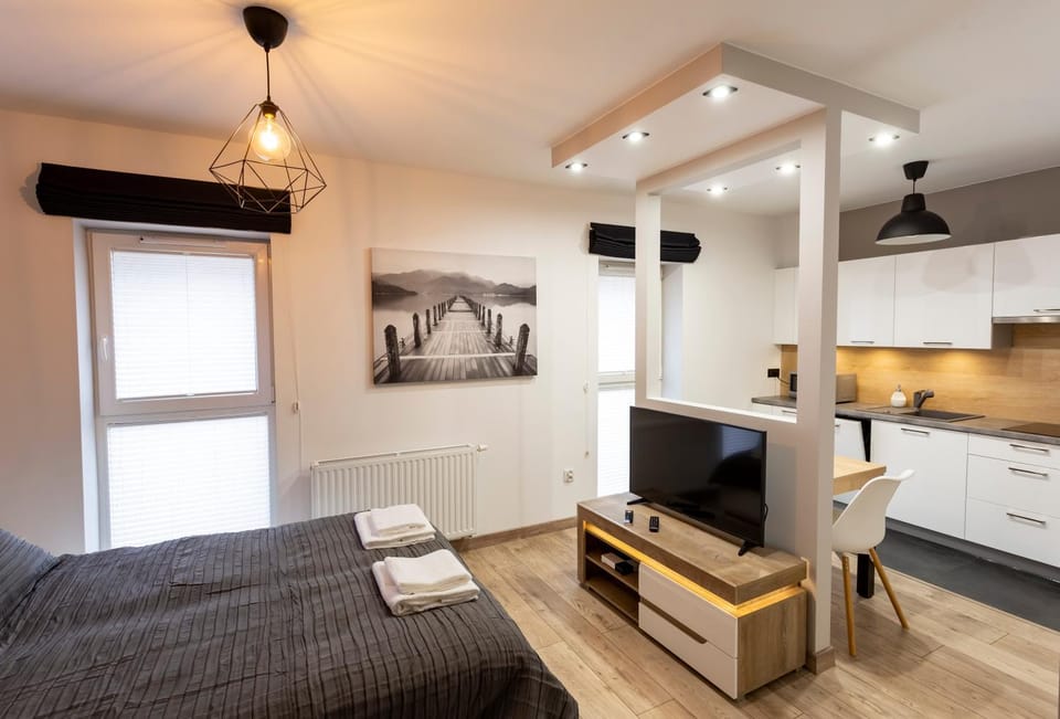 Tymon Apartament przy deptaku Apartment in Lower Silesian Voivodeship