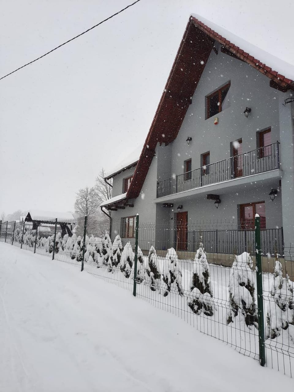 Winter