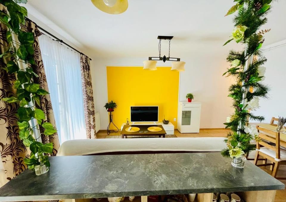 Apartament Sofia Apartment in Sibiu