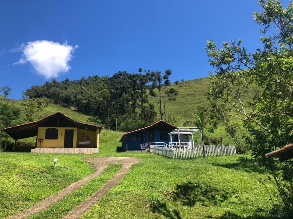 Natural landscape, Garden, Mountain view