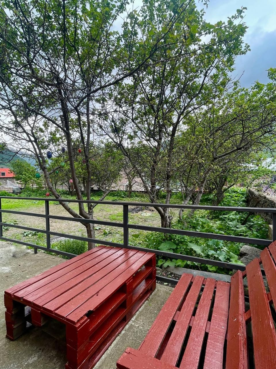 Garden view