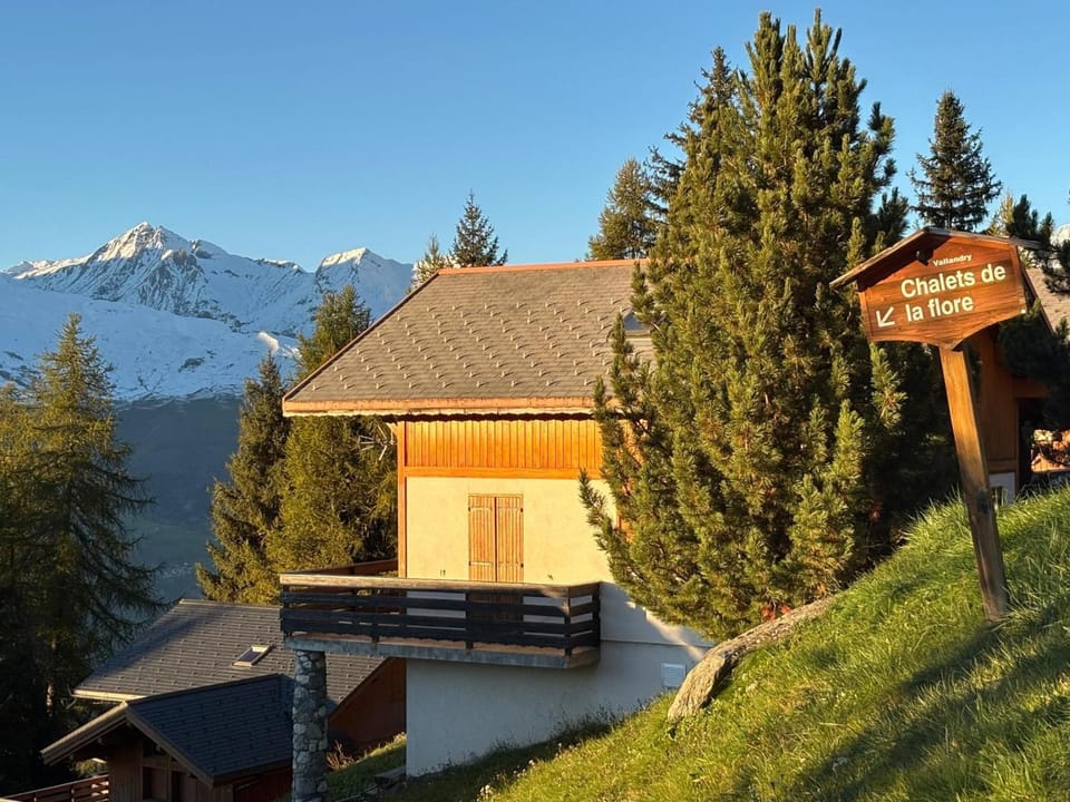 Chalet de charme à Vallandry, 10 pers, proche pistes, Wifi - FR-1-411-499 Chalet in Landry