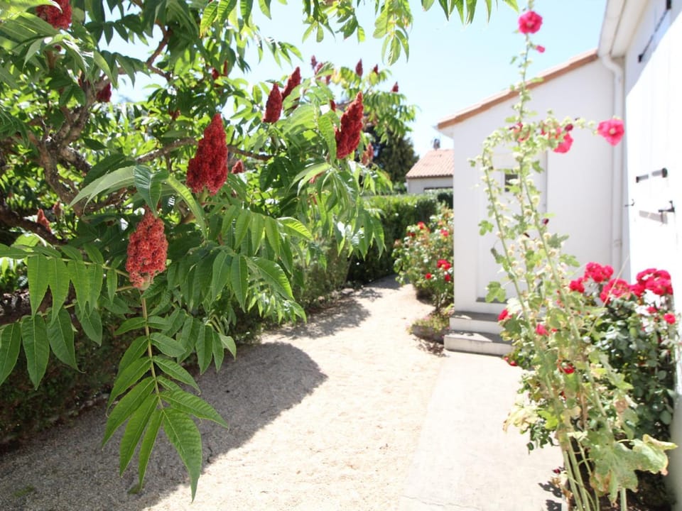 Maison de plain-pied avec jardin clos, proche de la plage et des commerces - FR-1-494-58 House in Nouvelle-Aquitaine