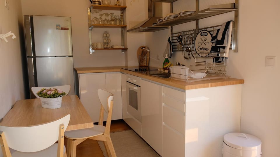 Kitchen or kitchenette, kitchen