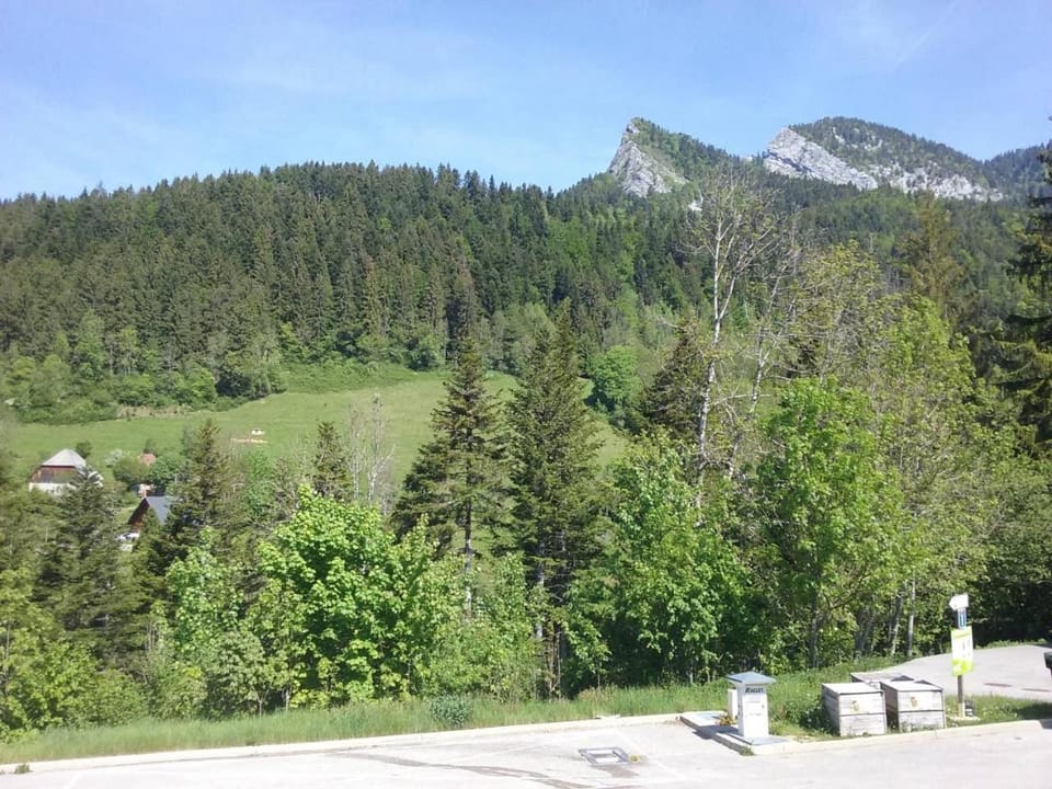Le Petit Som de Saint Pierre de Chartreuse Apartment in Auvergne-Rhône-Alpes