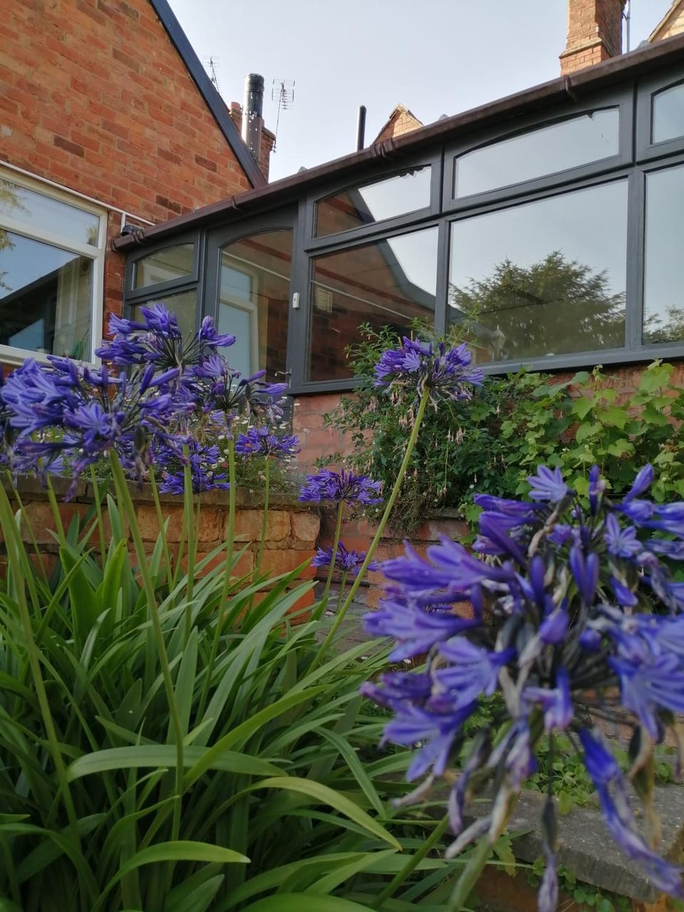 Featherbed Cottage Bed and Breakfast in Coventry