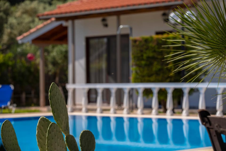 Property building, Pool view