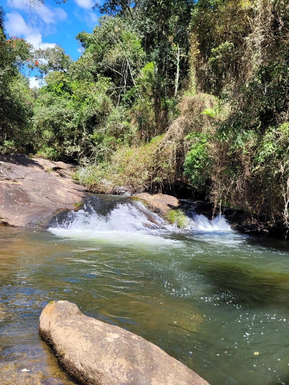 Spring, Natural landscape, River view