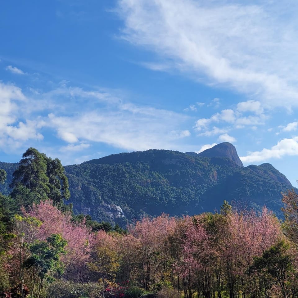 Nearby landmark, Natural landscape, Mountain view