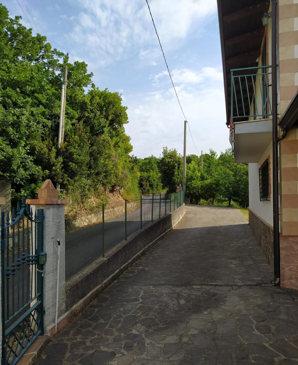 Quiet street view