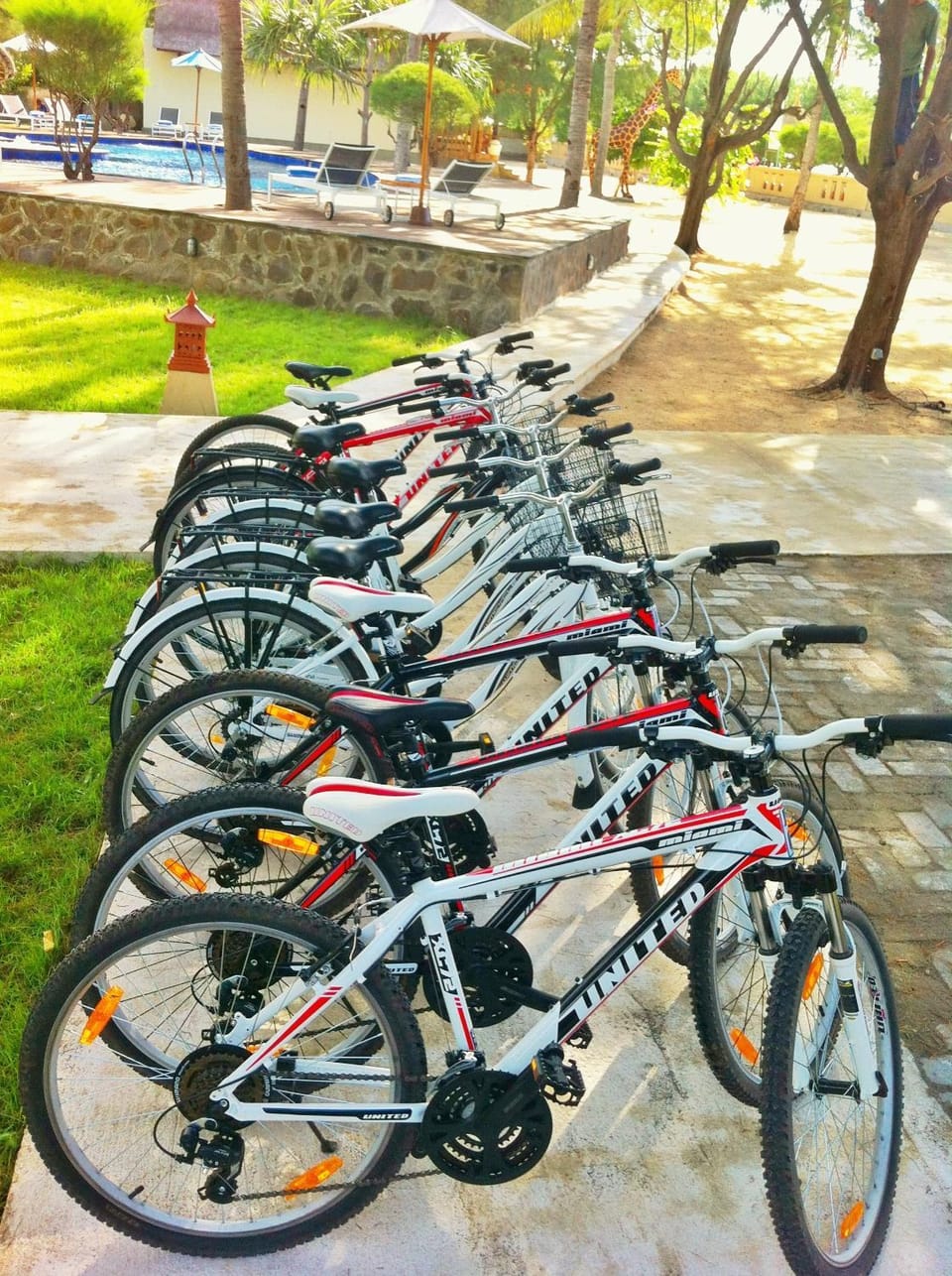Cycling