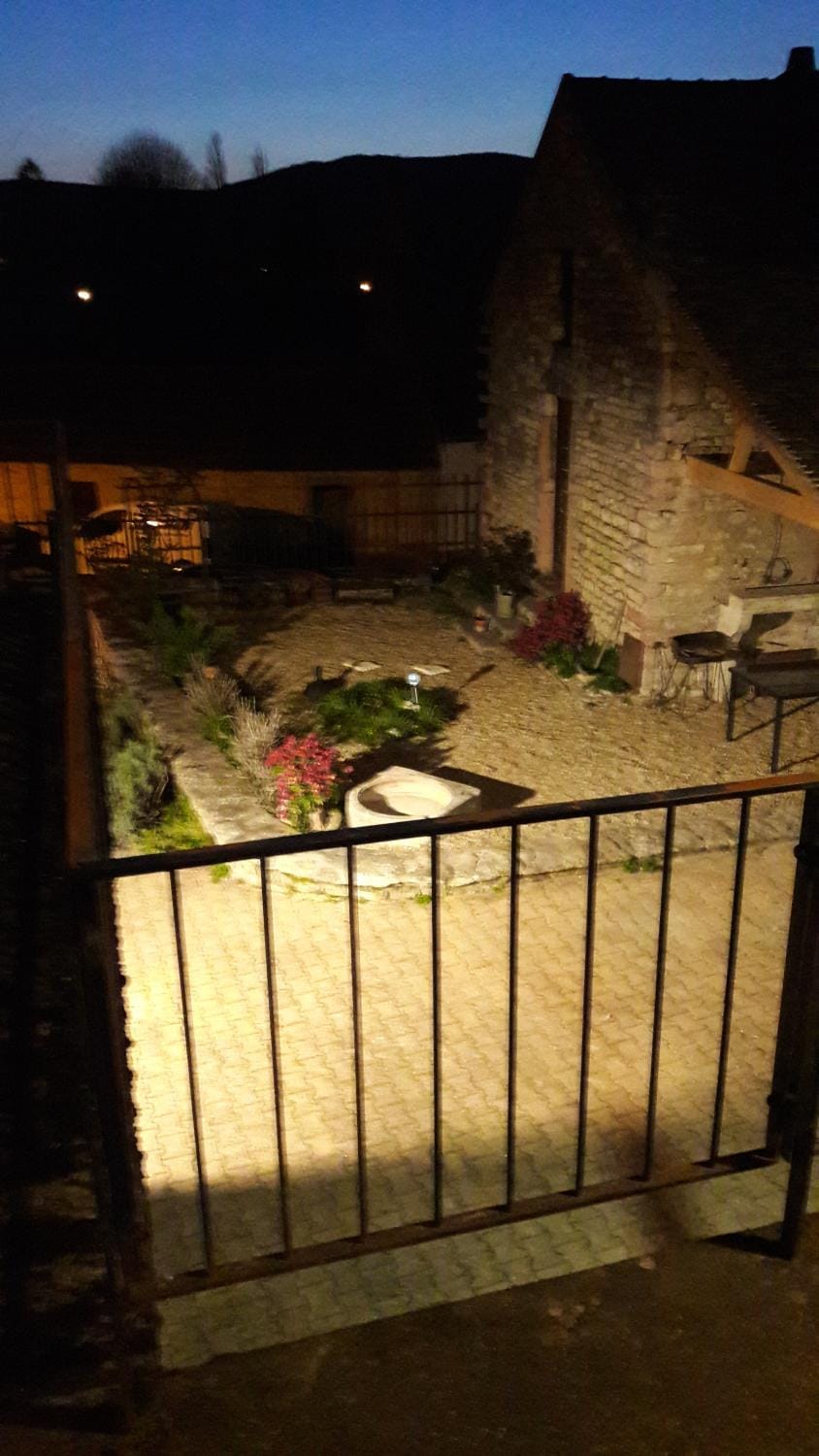 Garden view