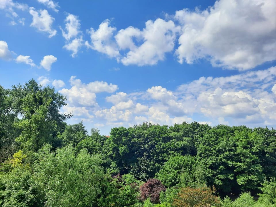 Natural landscape, Hiking, Garden view